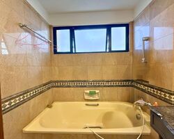 Dover Parkview (D5), Condominium #579507911